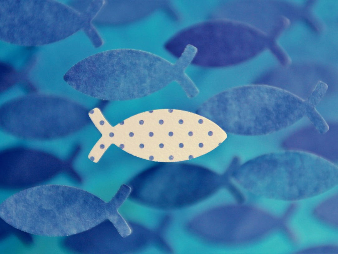 Eucharistische Fische in blau und eine Ausnahme in weiß mit blauen Punkten